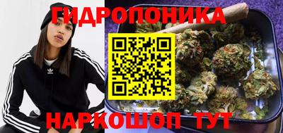 Альфа ПВП Краснодар