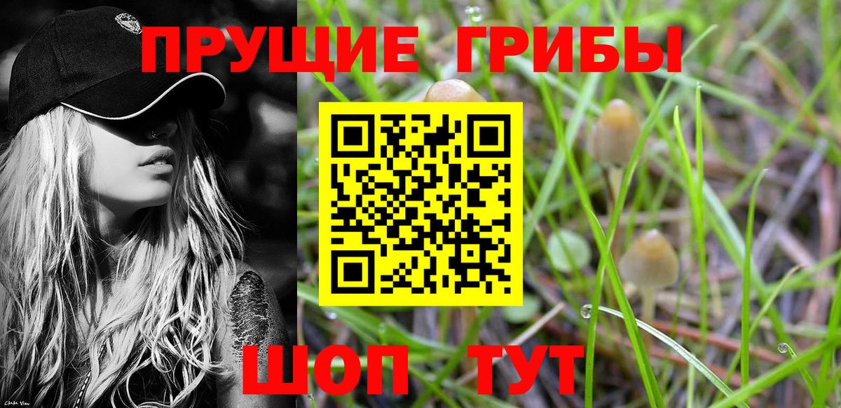 Галлюциногенные грибы MAGIC MUSHROOMS  Вход с VPN  Ковров 