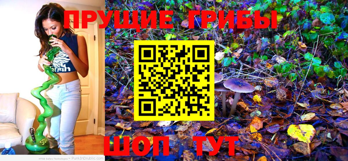 Галлюциногенные грибы мицелий Ковров